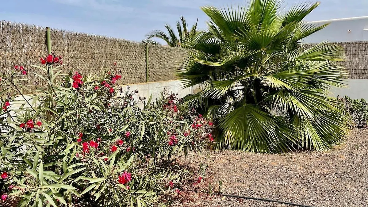 Villa spacieuse et lumineuse avec piscine Chauffée La Oliva